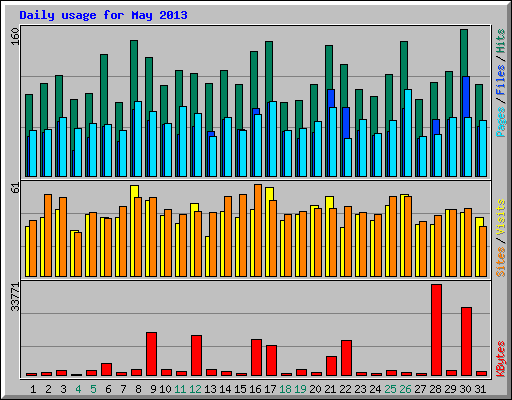 Daily usage for May 2013