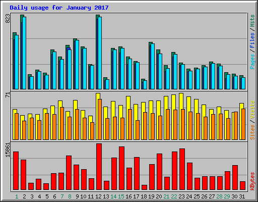 Daily usage for January 2017