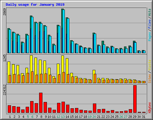 Daily usage for January 2019