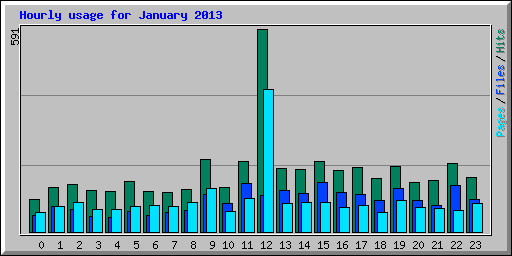 Hourly usage for January 2013