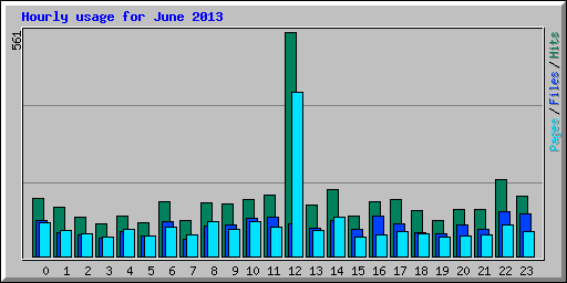 Hourly usage for June 2013