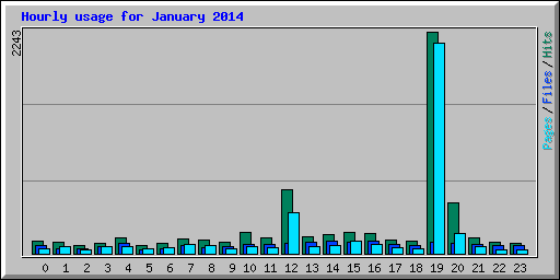 Hourly usage for January 2014
