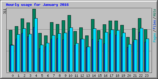 Hourly usage for January 2016