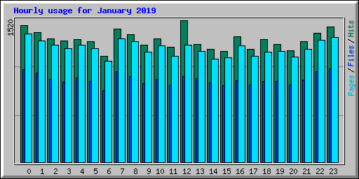Hourly usage for January 2019